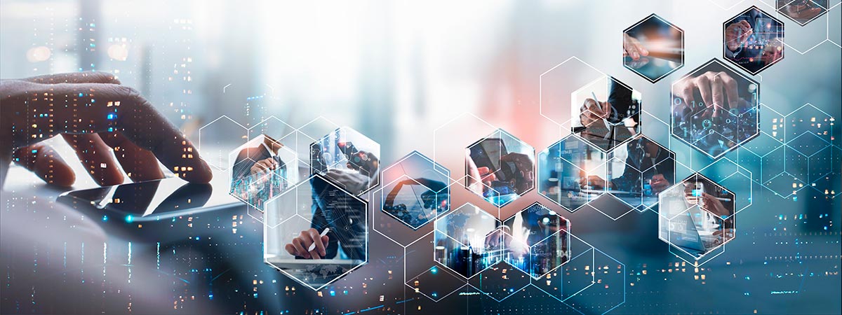 Grupo de Investigación